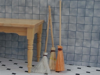 WHITE BROOM